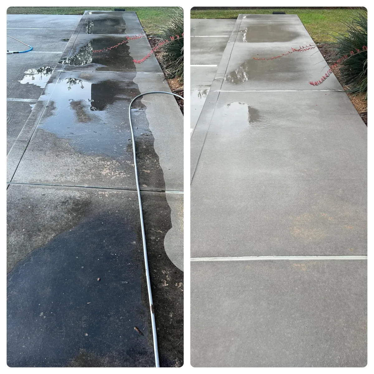 sidewalk and building maintenance