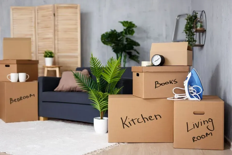 Storage boxes in a room