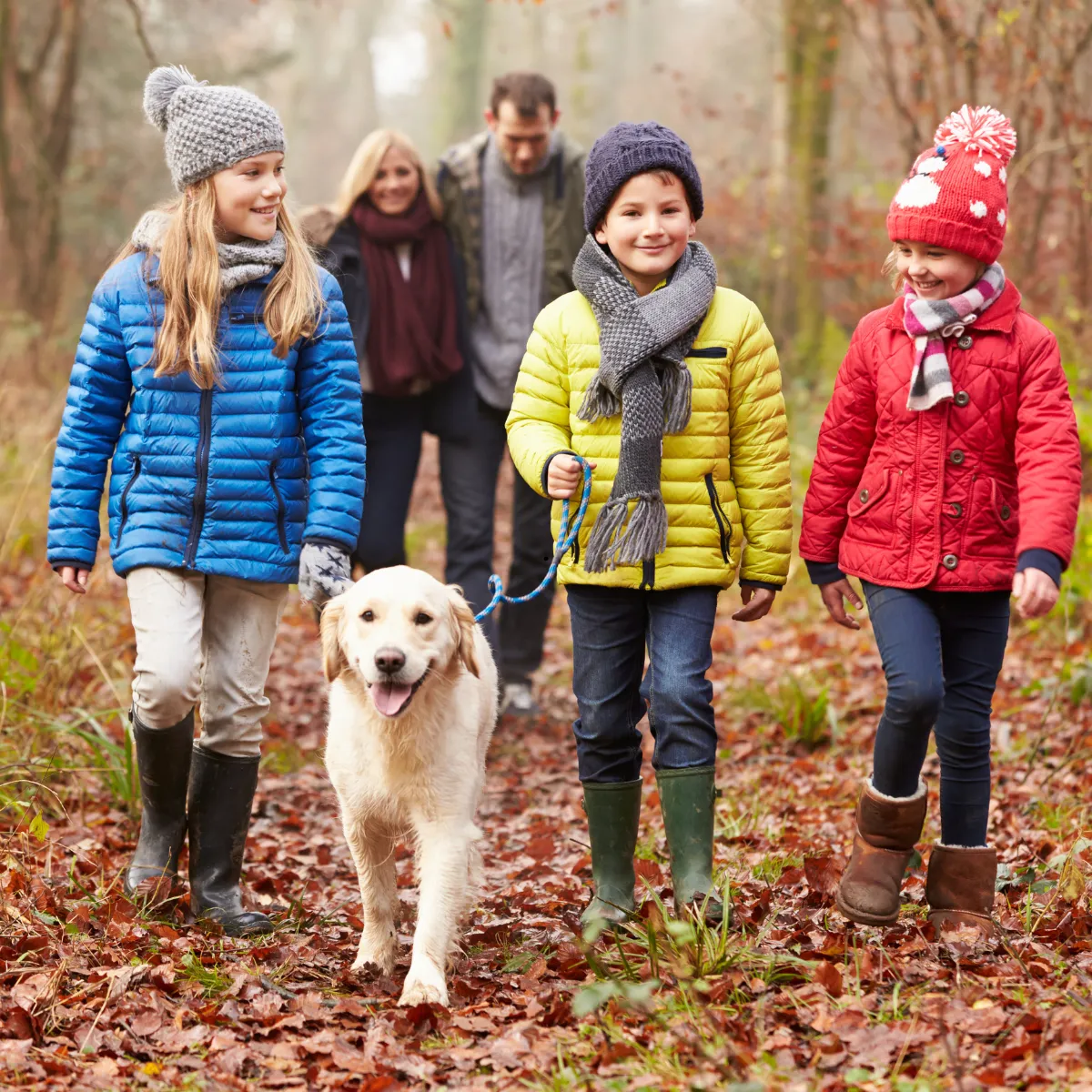Children walking a golden retriever on a forest path, wearing colorful jackets and boots, with adults in the background, emphasizing family pet ownership and outdoor activity.