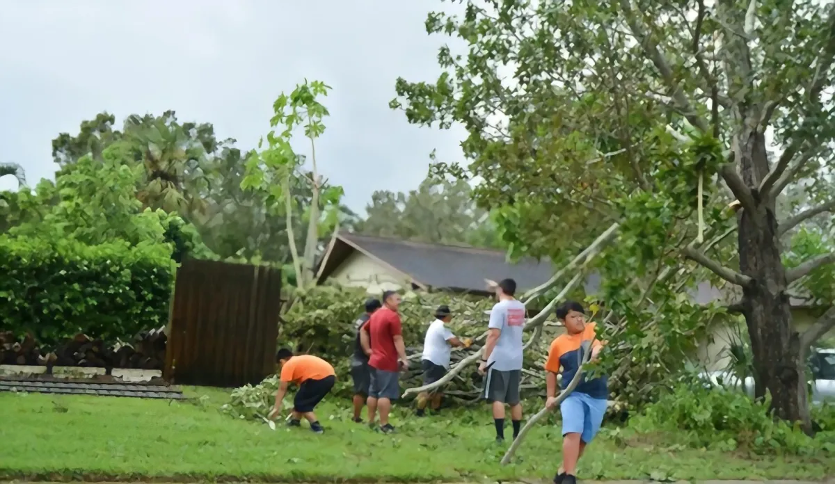 Removing a Tree