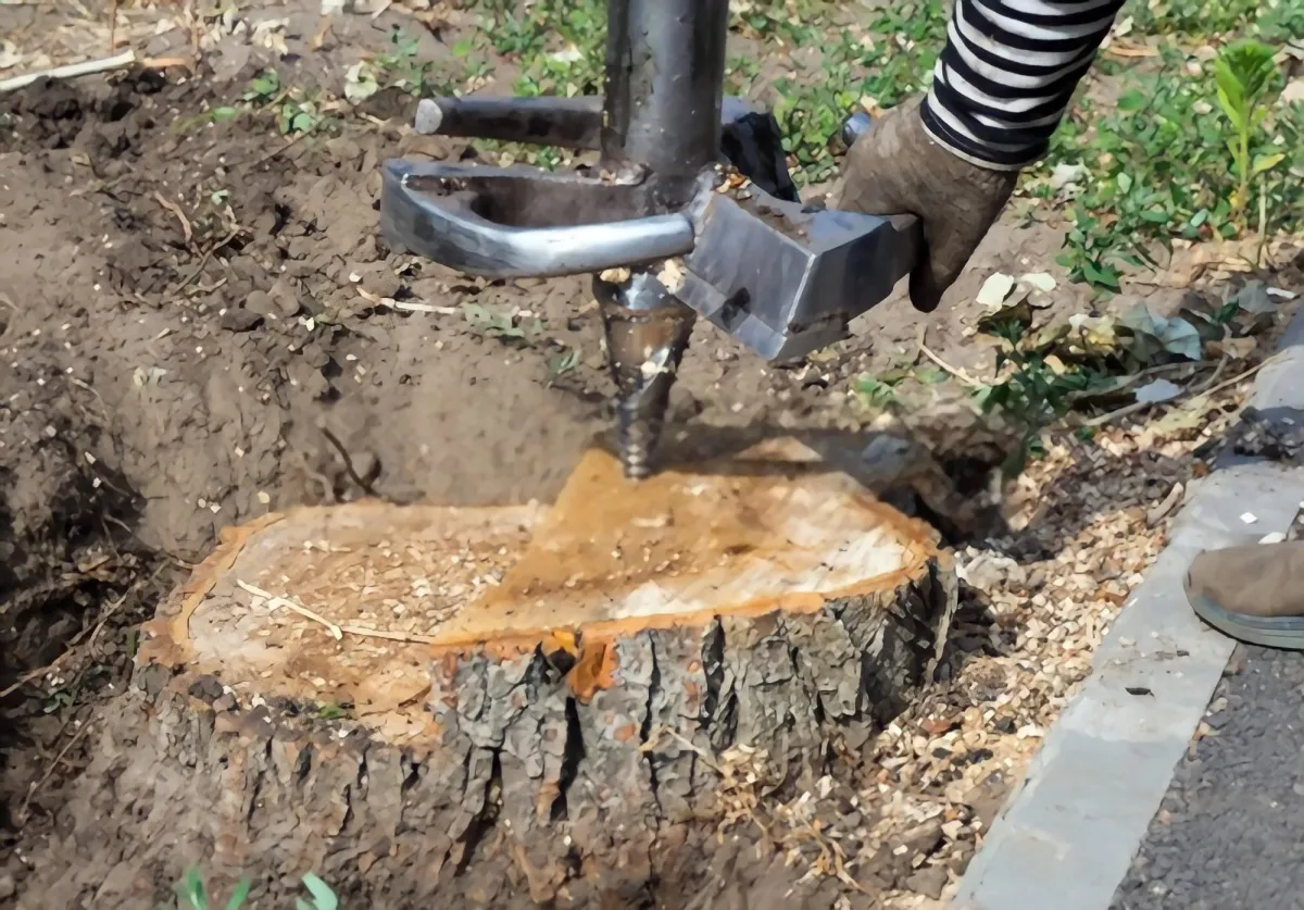 How to grind a stump