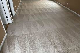 sliced lime on green surface