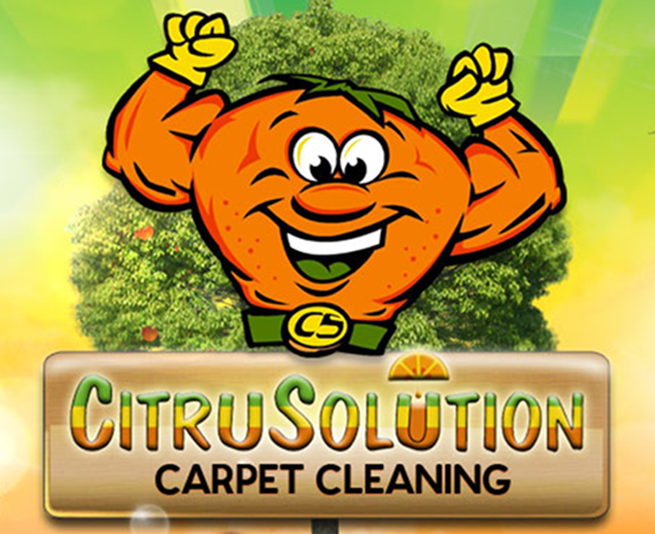 orange and yellow flower field