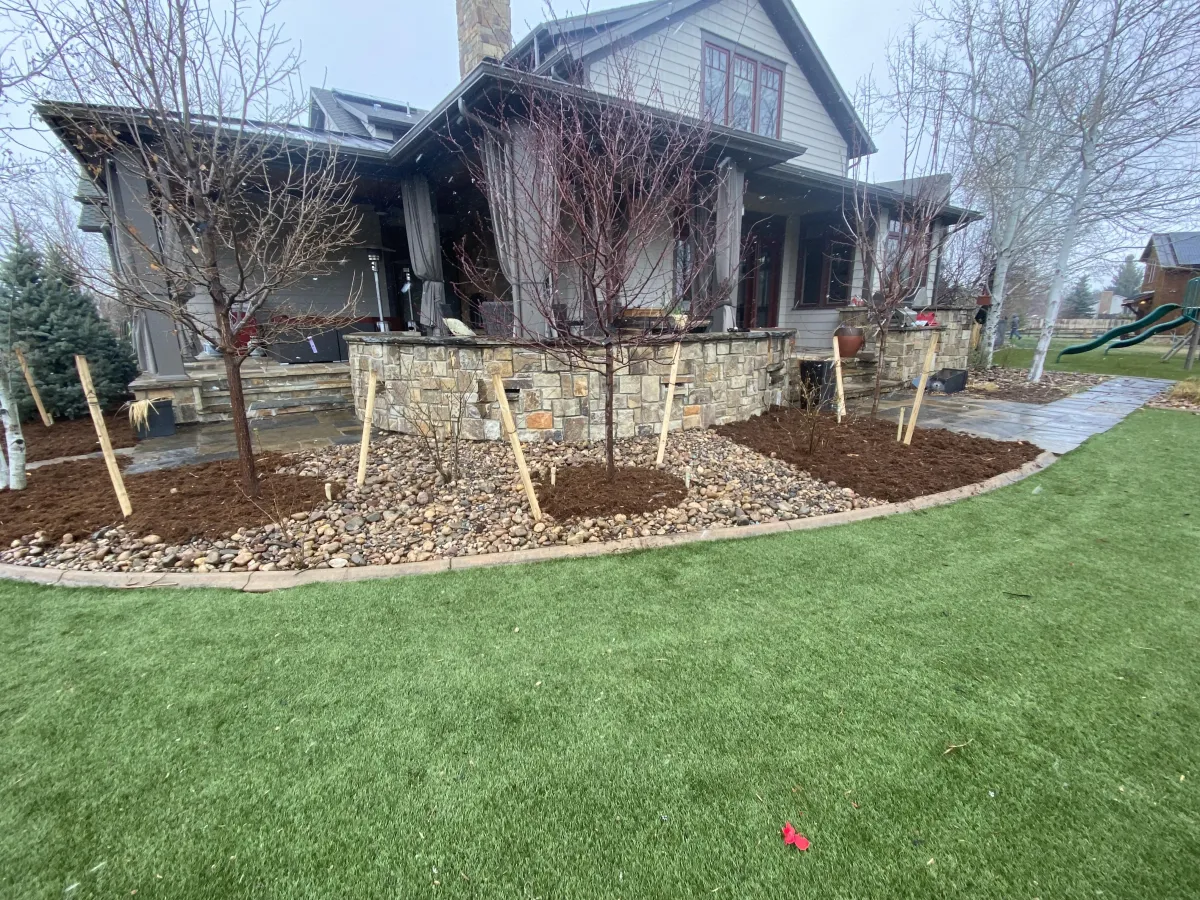 Beautiful green striped lawn in Colorado