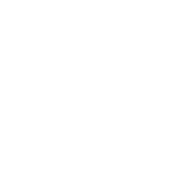 Sample MTIS Rental Inspection Report