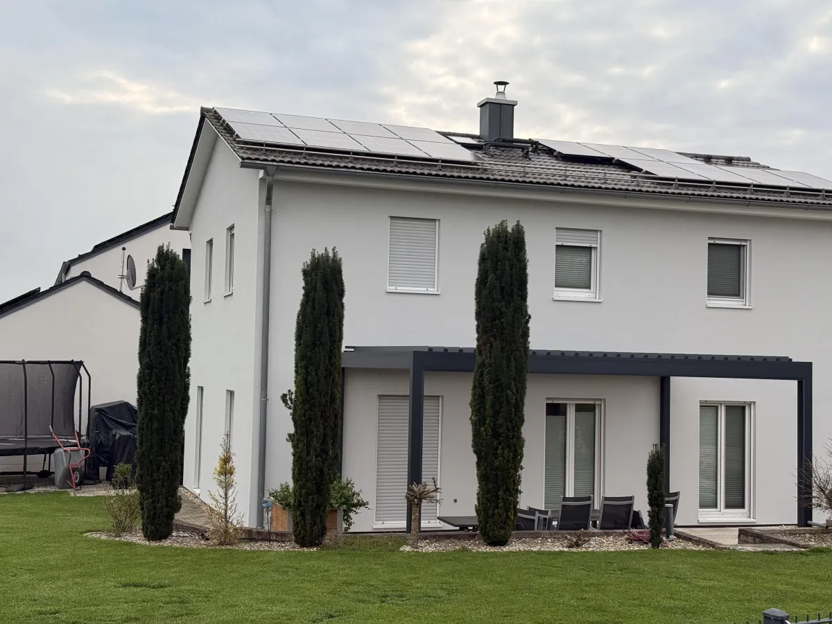 Baumpflege in Rostock