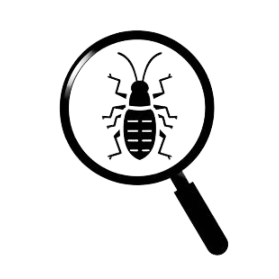 earwig under magnifier