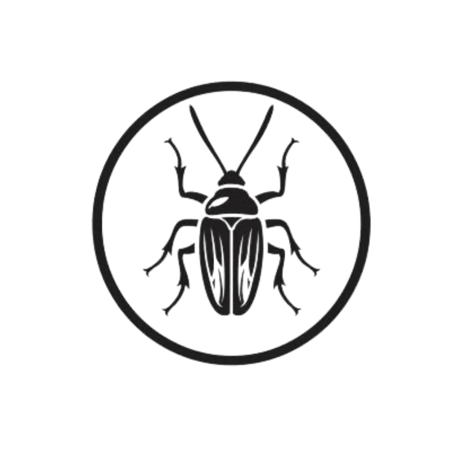 box elder Bug Logo