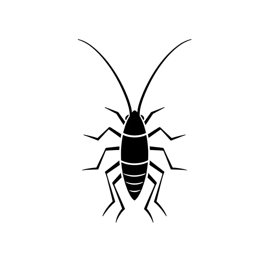 silverfish Logo