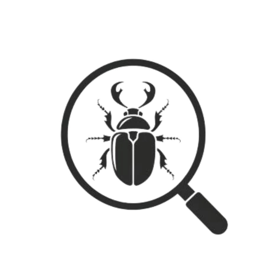 beetle under magnifier