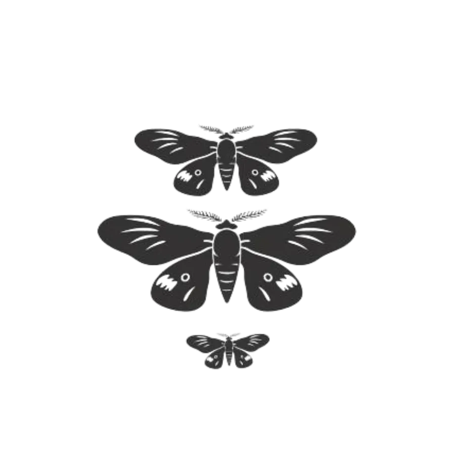 moth Logo