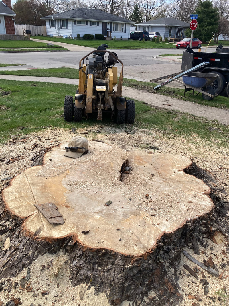 Grinding a Stump