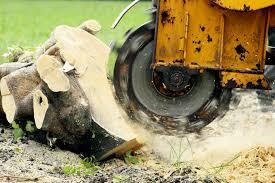 stump grinder in action