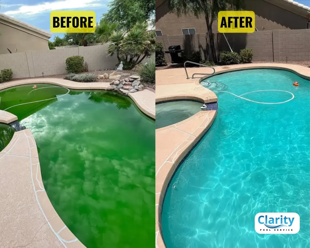 Green Pool Clean-Up in San Diego