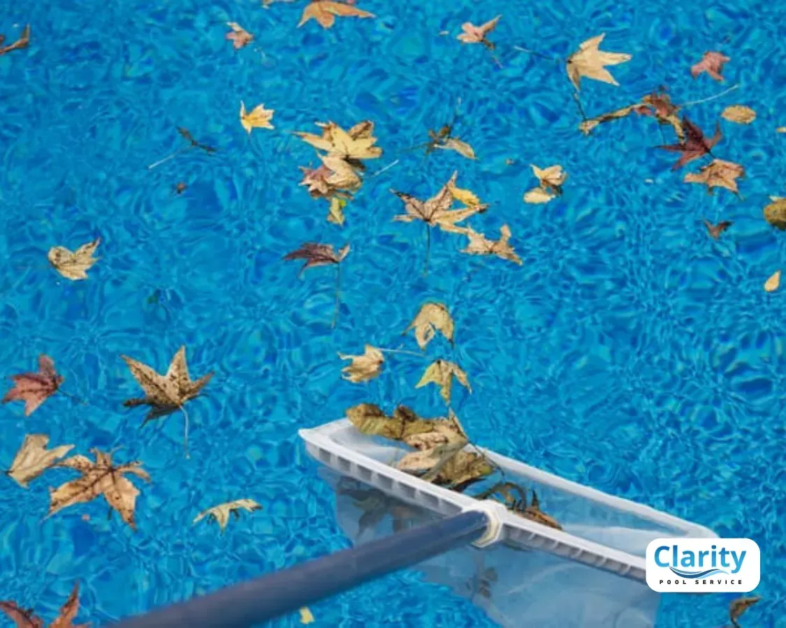 Santee Weekly Pool Maintenance
