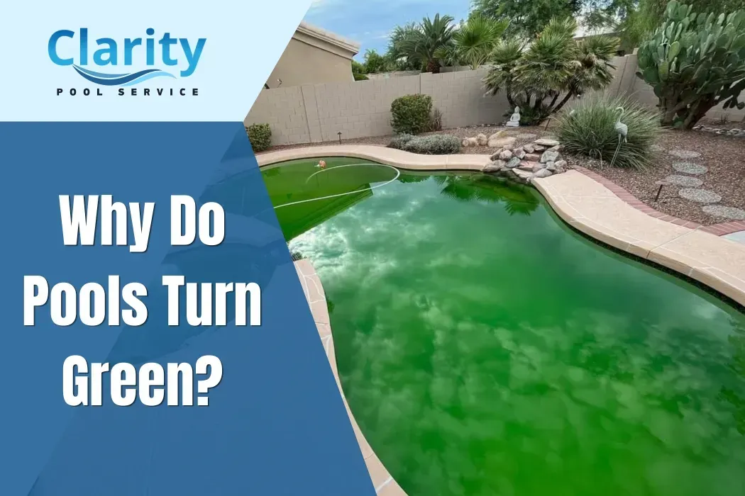 Why Do Pools Turn Green?