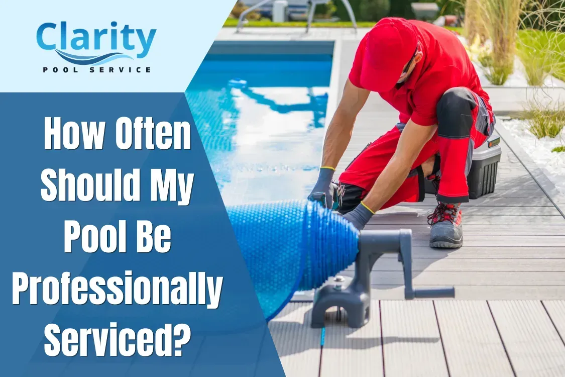 How Often Should My Pool Be Professionally Serviced?