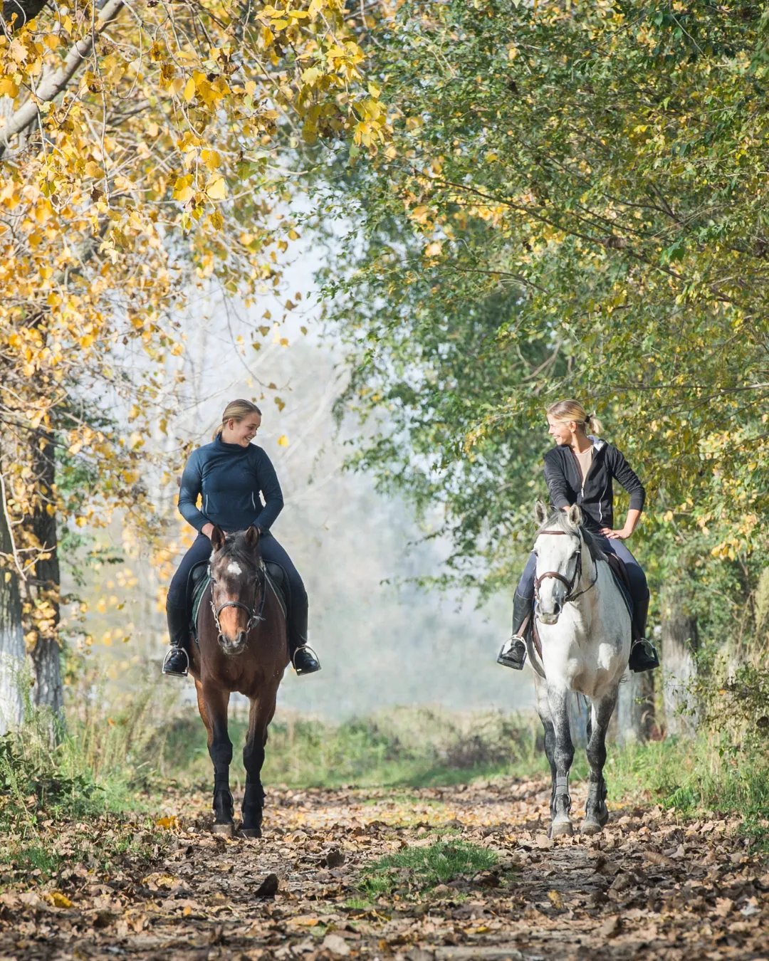 Clarity comes from principles