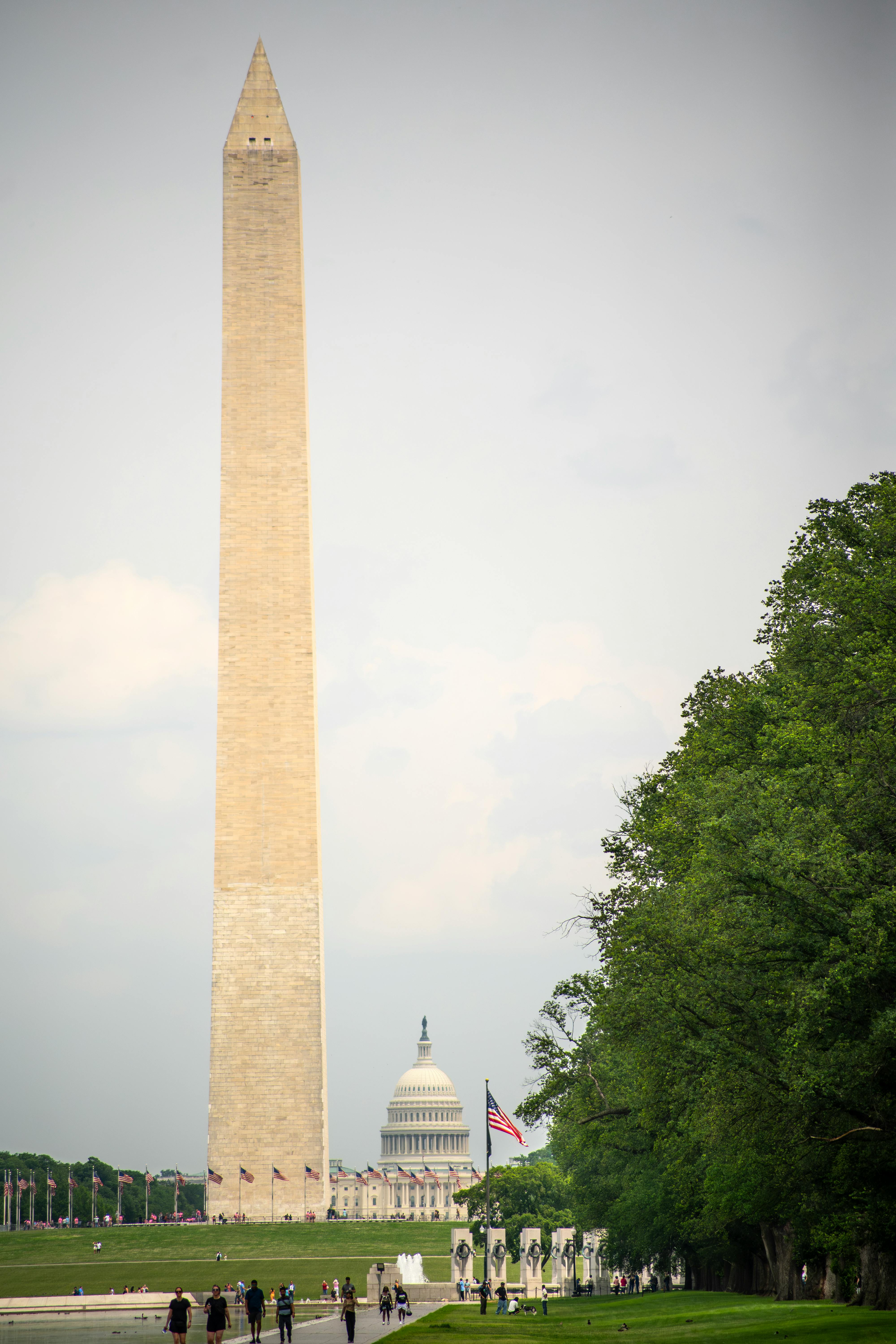 Washington DC