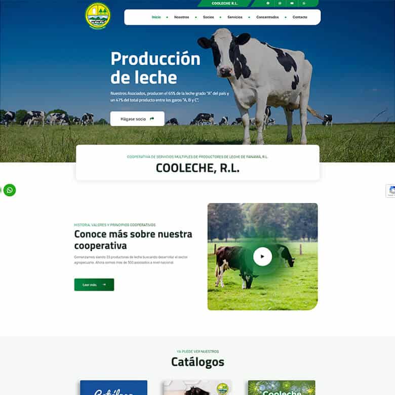 Servicios SEO & Marketing Digital en Panamá | ZEWS