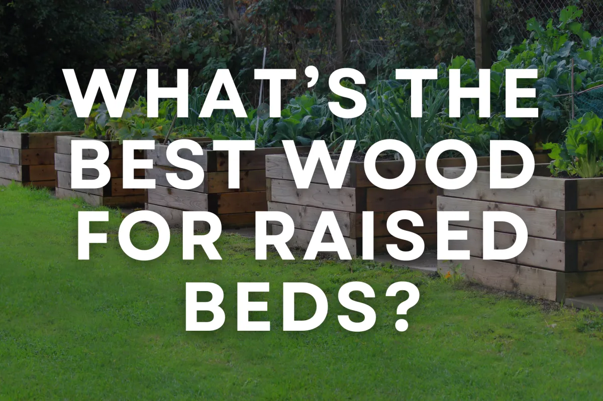 What’s the Best Wood for Raised Beds?