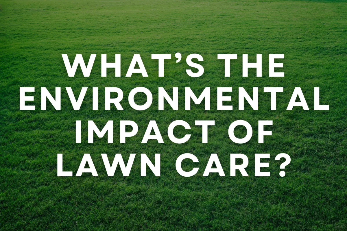 What’s the Environmental Impact of Lawn Care?