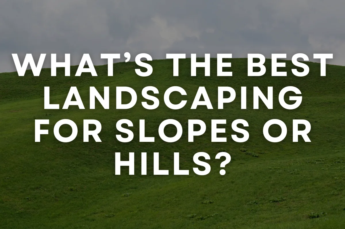 What’s the Best Landscaping for Slopes or Hills?