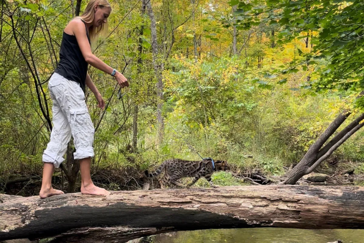 Girl walking on a log with a cat on a leash