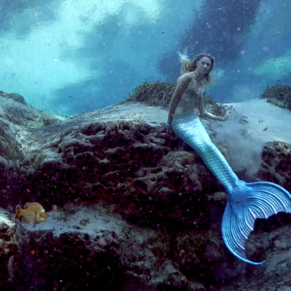 mermaid underwater