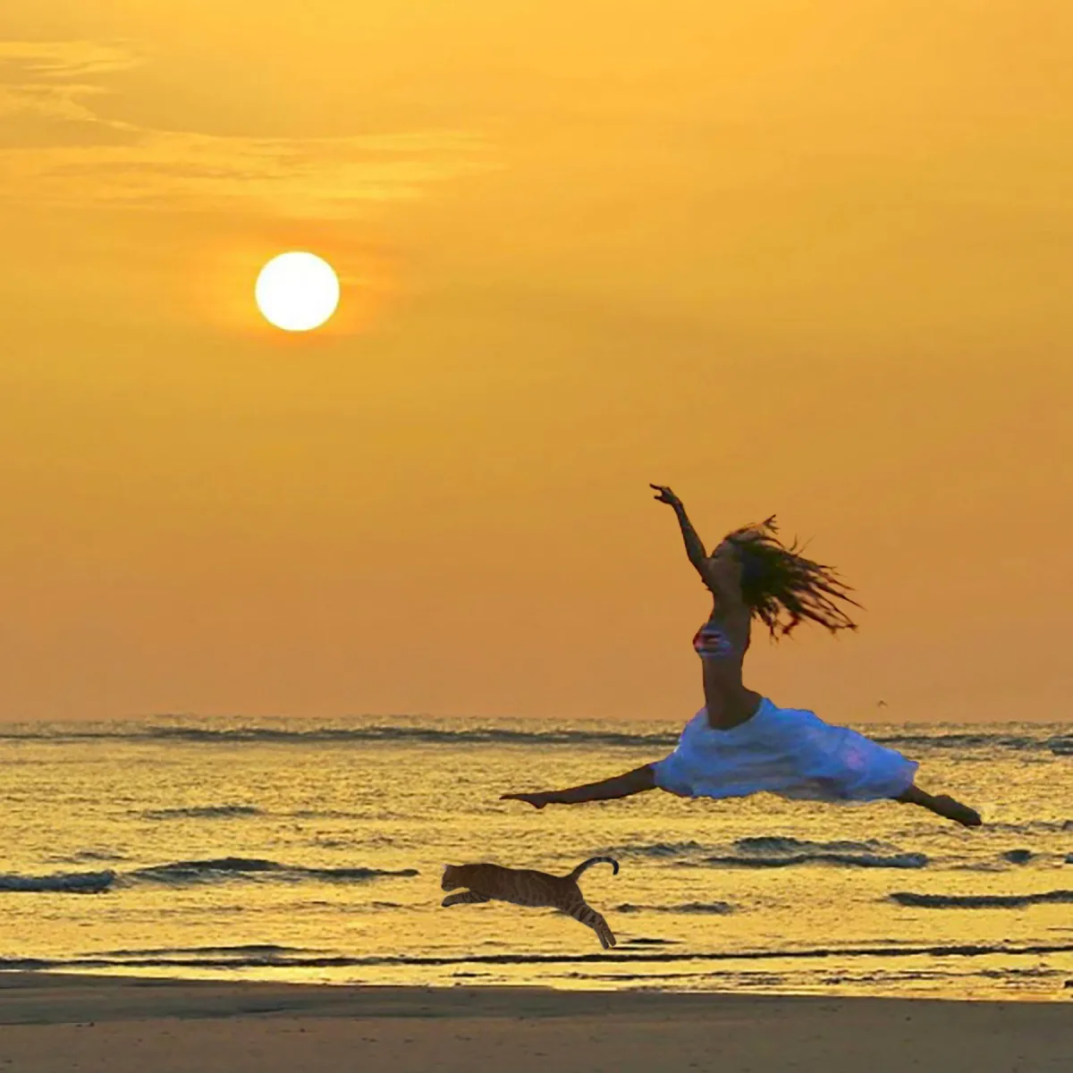girl and cat jumping on the Beach 