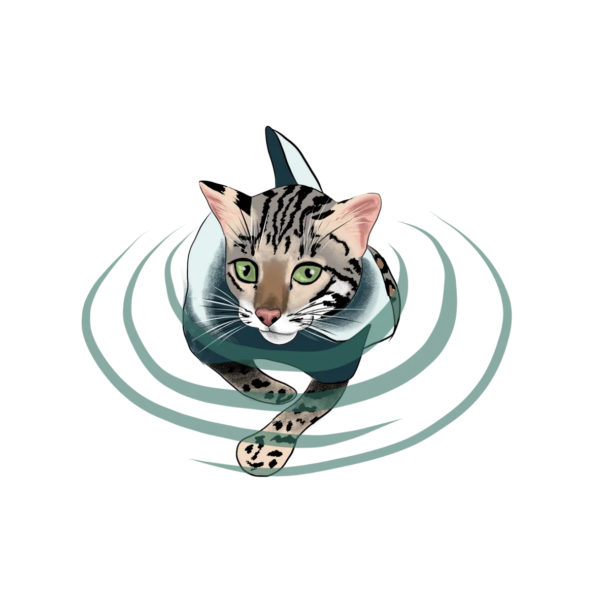 Icon of Flounder the cat swimming