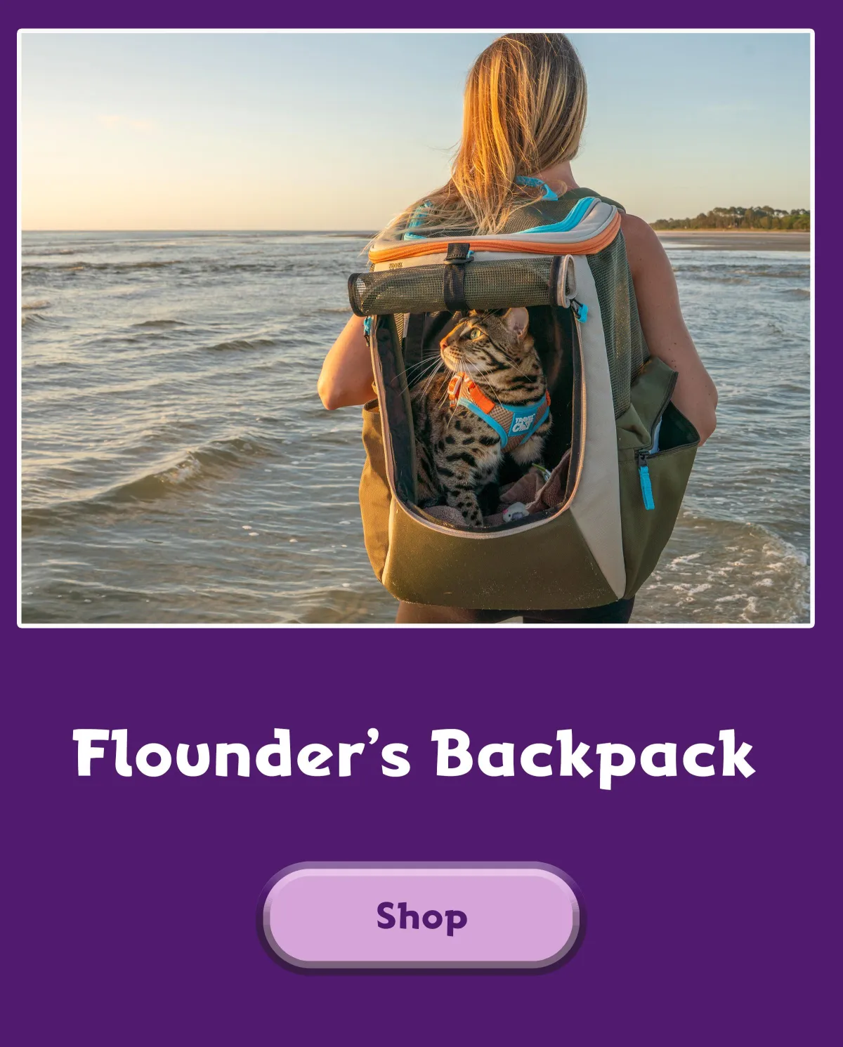 cat riding inside a backpack