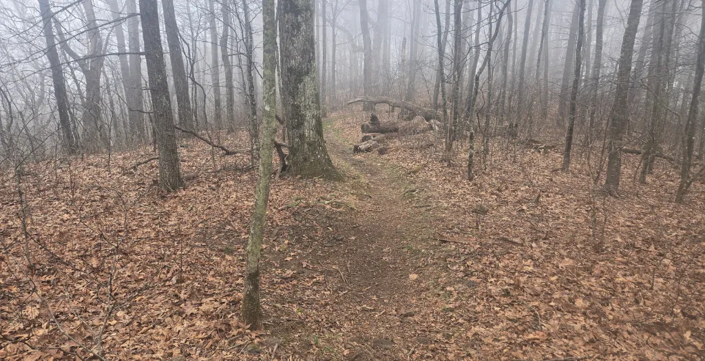 Day 5: Feeling it with A B C