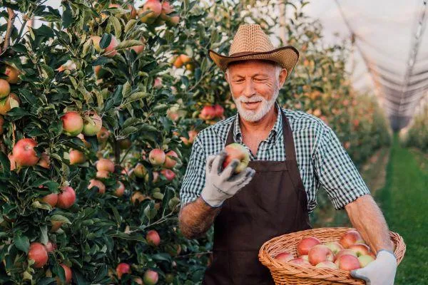 Fruit Farmer
