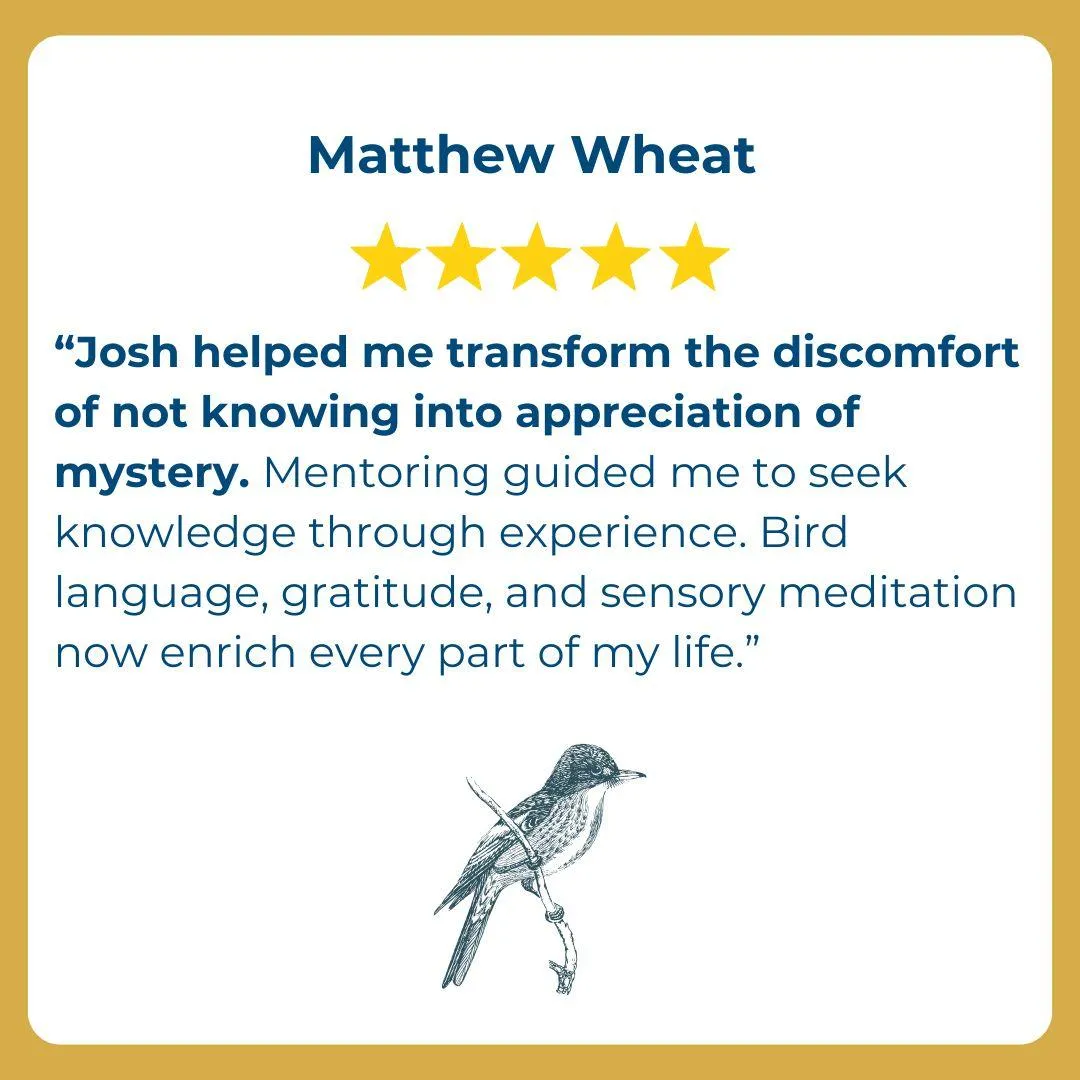 Mentoring Client Testimonial, Matthew Wheat