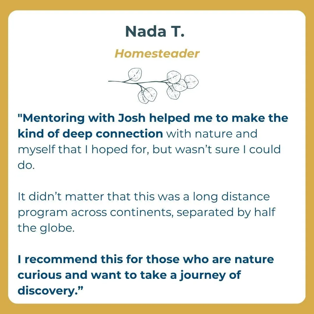 Recommendation, Nada T, Homesteader
