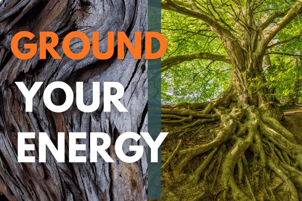 6-Minute Guided Grounding Meditation with a Tree to Calm Anxiety & Stress