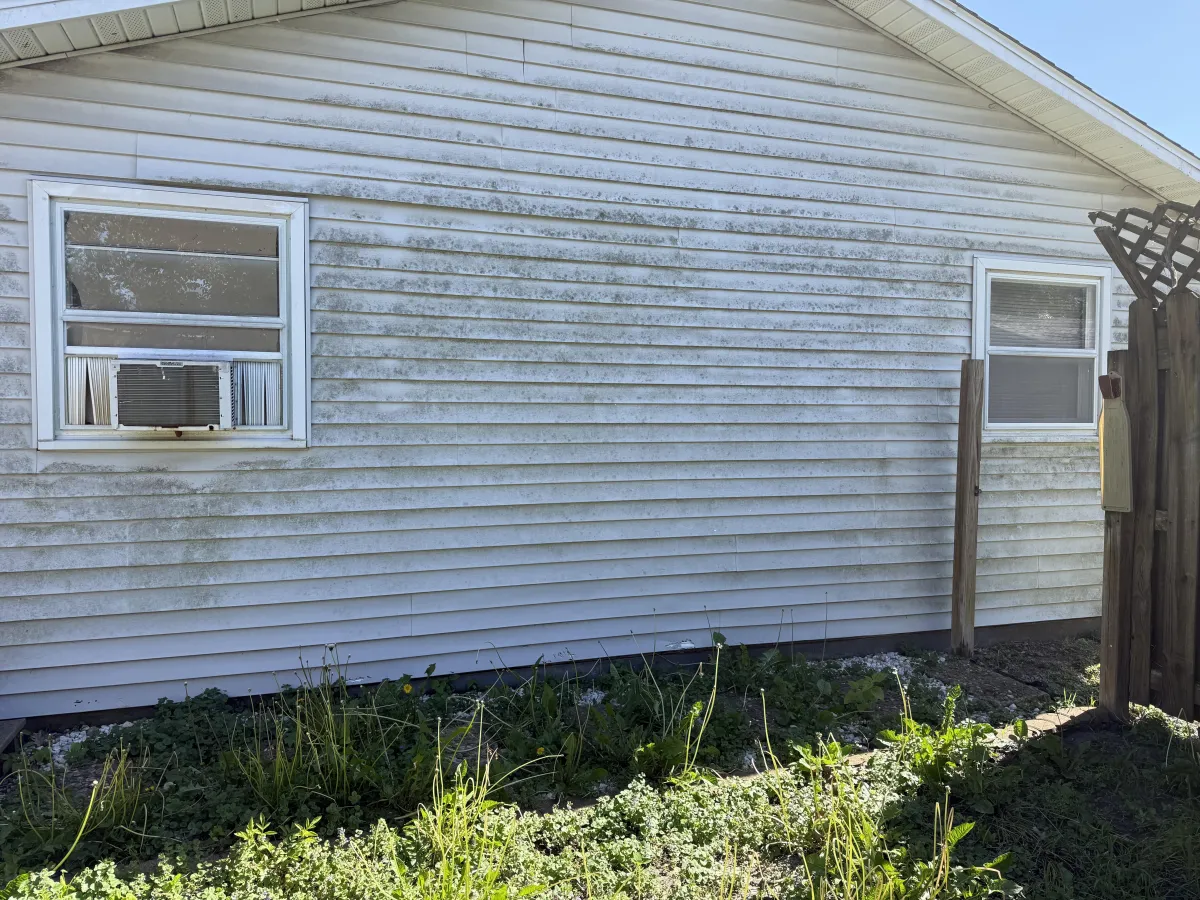 Before photo showing the starting condition for Siding Cleaning in Clinton, IL