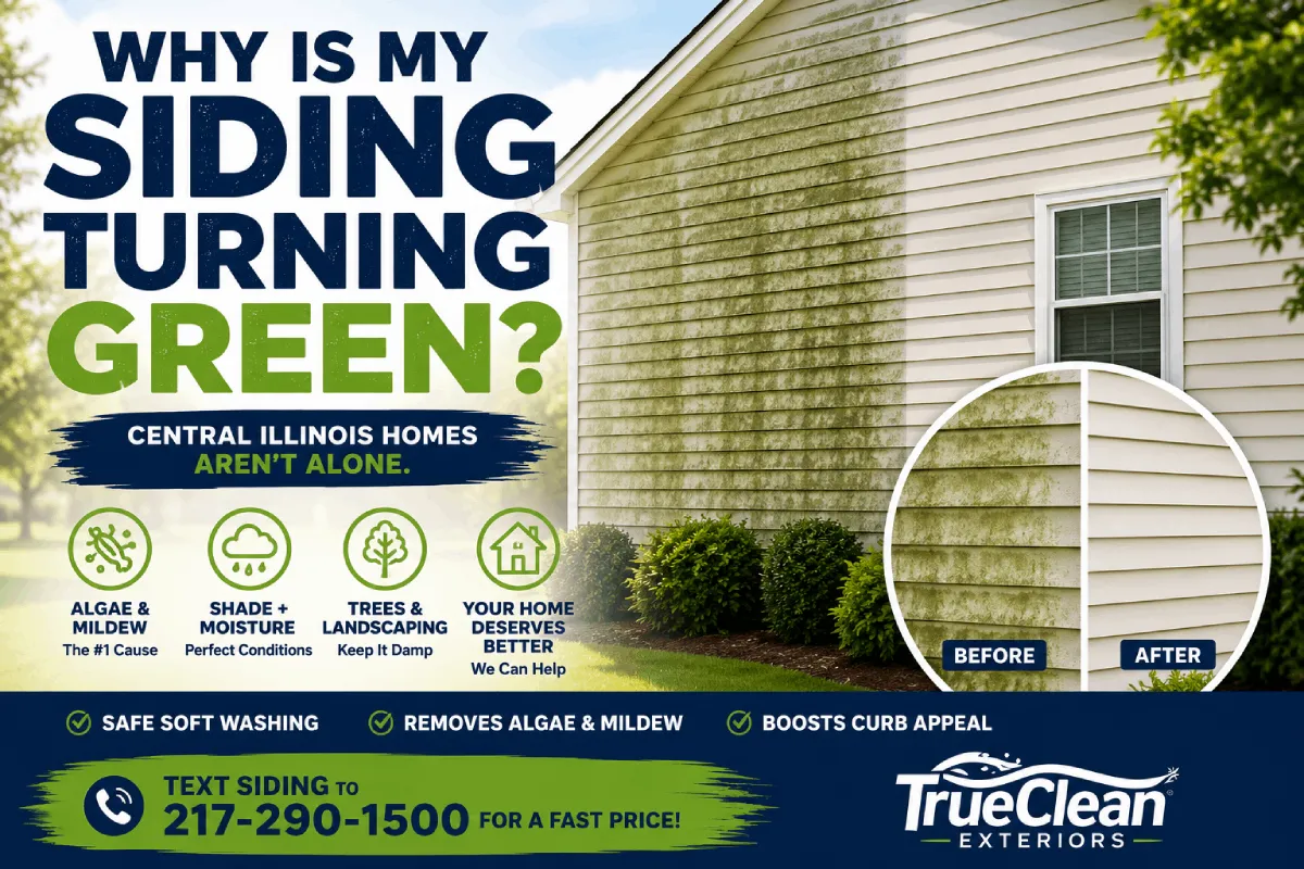 Why Is My Siding Green