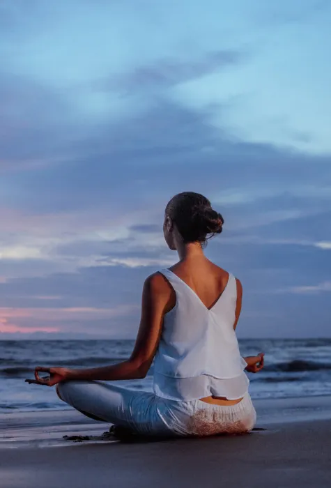 somatic energy healing and nervous system coherence journey
