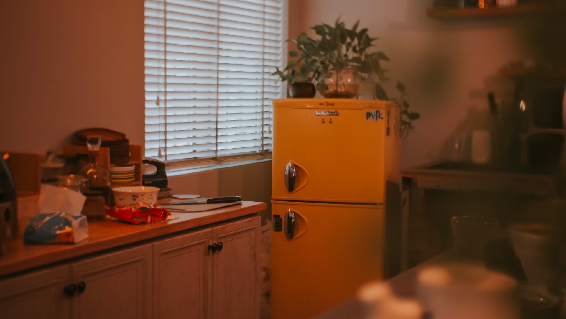 Clear Out Old Fridges Before Spring in Medina, Ohio