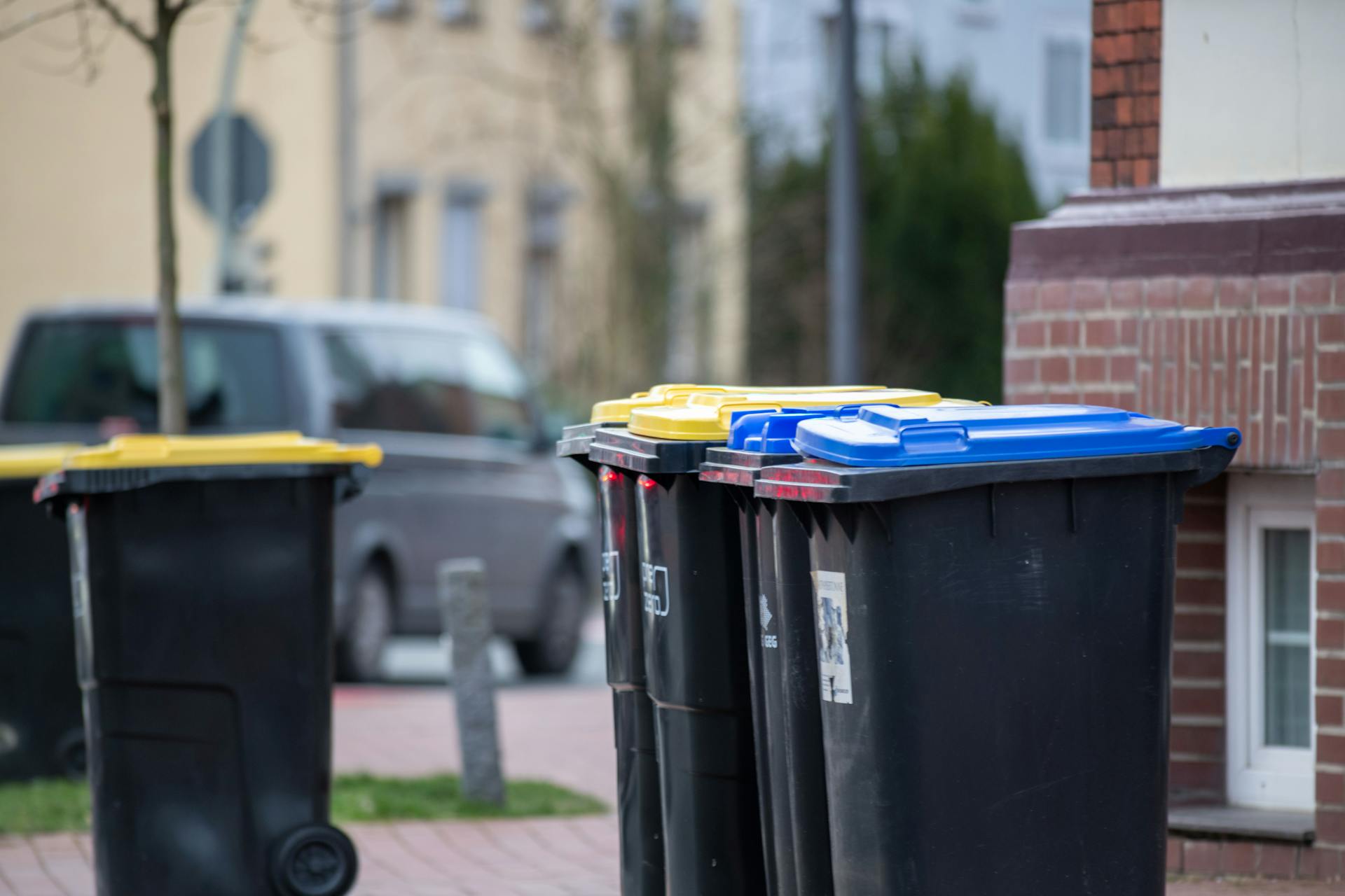 How Trash Collection in Medina Changes by Season