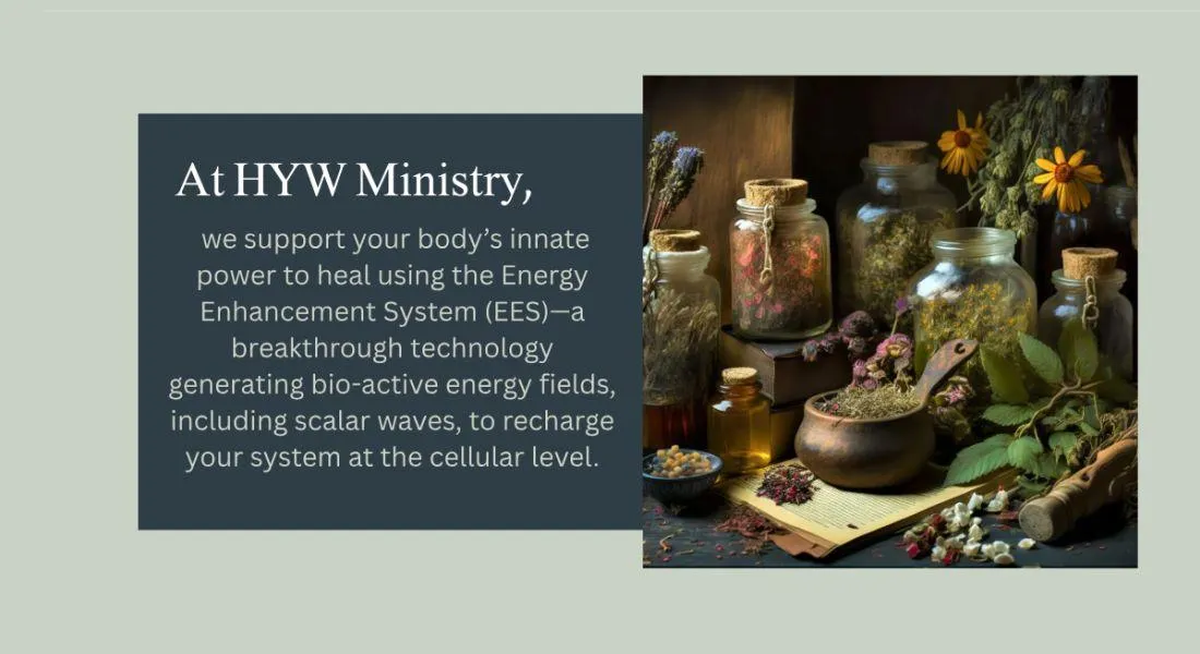 state of the art, healing wellness, EE SYSTEM, enhancment system, ees, natural remedies, hera