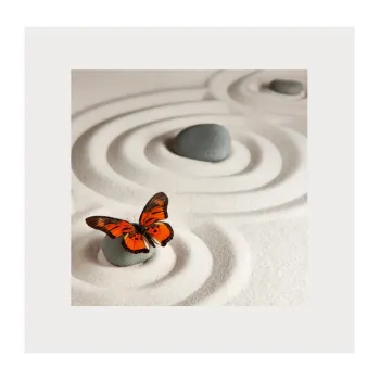 zen garden with butterfly