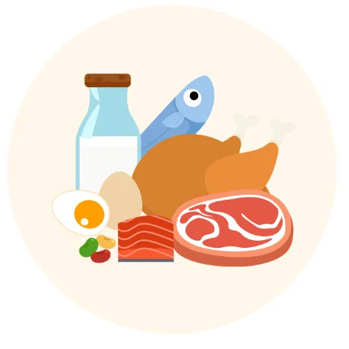 Illustration of protein-rich foods like steak, chicken, fish, eggs, and dairy—supporting strength, energy, and hormone health for women in perimenopause.