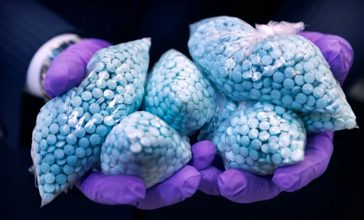 a photo of two purple goves holding multiple bags of blue pills in clear plastic bags.