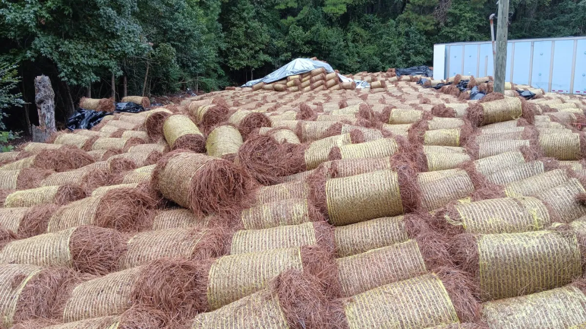 Hundreds of rolled pine straw bales stacked in rows at an outdoor storage yard, prepared for bulk delivery and landscaping installation.