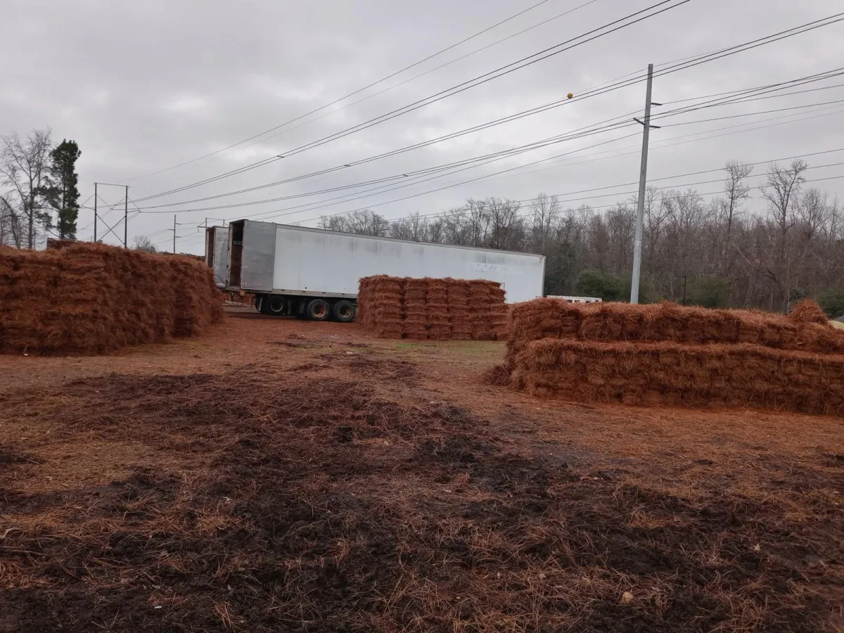 Stacks of pine straw bales arranged around a semi-truck trailer on a distribution yard, ready for delivery and installation.