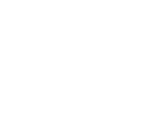 Bike Leather Detailing