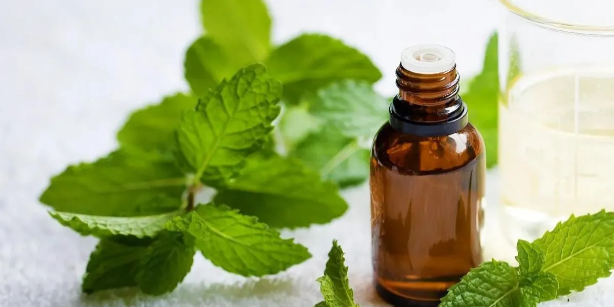 Natural Detox Support